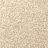 Forge Limestone Wall Protection