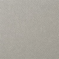 Forge Powder Wall Protection