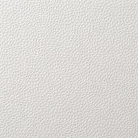 Forge Quartz Wall Protection