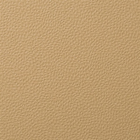 Forge Sardonyx Wall Protection