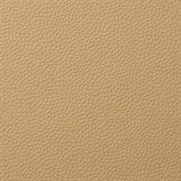 Forge Sardonyx Wall Protection