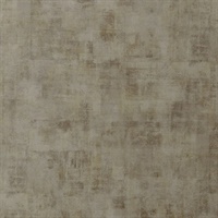 Forza Mica Wall Protection