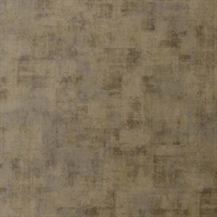 Forza Schist Wall Protection