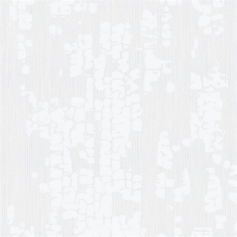 Fractal Bark Cottonwood