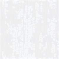 Fractal Bark Cottonwood