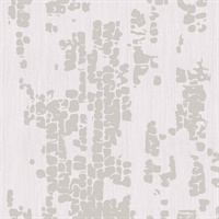 Fractal Bark Sycamore