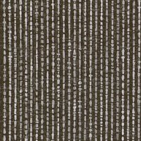 Free Spirit Midnight Swim