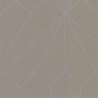 French Crown Fairy Tale