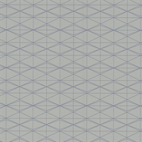 Frequent Flyer Air Miles