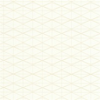 Frequent Flyer Carry-On