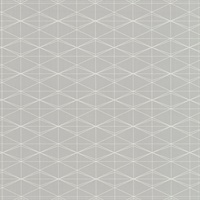 Frequent Flyer Fasten Your Seatbelt