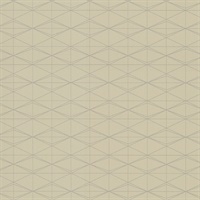 Frequent Flyer Landing