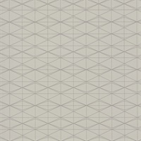 Frequent Flyer Layover