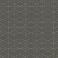 Frequent Flyer Pavement