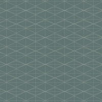 Frequent Flyer Window Seat