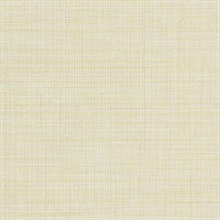 Fresh Mesh Heavy Cream