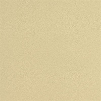 Galaxy Dust White Sand