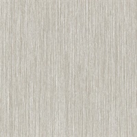 Galerie II Birch Forest