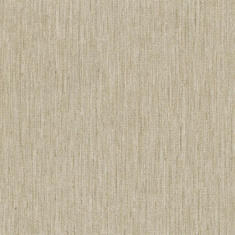 Galerie II Expectation