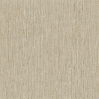 Galerie II Expectation