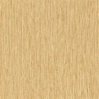 Galerie II Sunflower