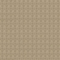 Geodesic Circle Geometric Commercial Vinyl