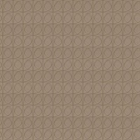 Geodesic Intersect Geometric Commercial Vinyl