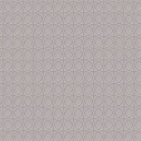 Geodesic Pentagon Geometric Commercial Vinyl
