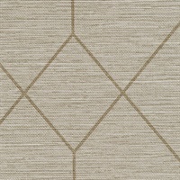 Geoloom Sheer Chiffon