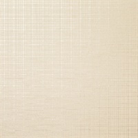 Geo-Metro Whiteprint