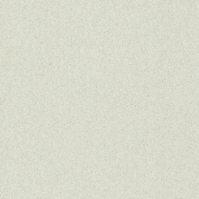 Glamour Champagne Dreams