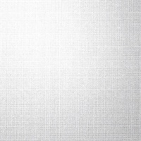 Glitterin' Cloud Linen