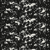 Go Outside Black Tea