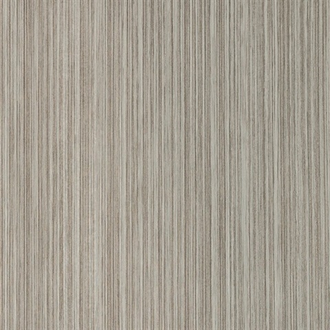 Grain Silver Birch Wall Protection