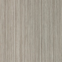 Grain Silver Birch Wall Protection