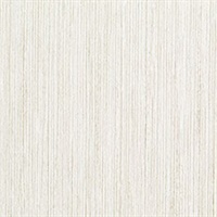 Graphica Texture Oyster