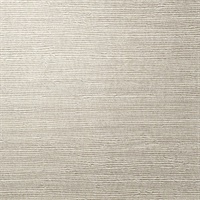 Grass Envy Winter Garden