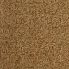 Hammered Dimenson Wall Maple