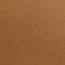 Hammered Dimenson Wall New Penny