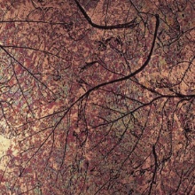 Hand Painted Patina Autumn Leaves