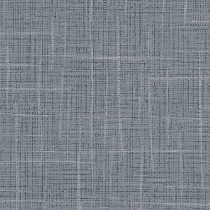 Happenstance Curiosity