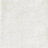 Hard Rock Arctic Shell