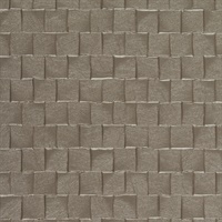 Hard Rock Silver Train