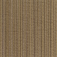 Harvard Secret Society