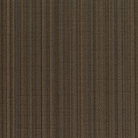 Harvard Varsity Crew