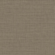 Harvest Twine 54 Mocha