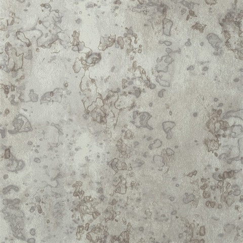 Heavy Metal Platinum Record