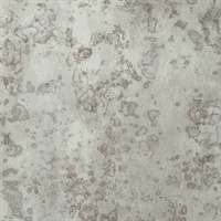 Heavy Metal Platinum Record