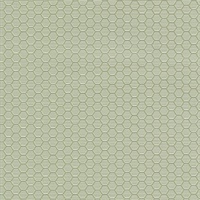 Hexagon Grid Chloris