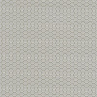 Hexagon Grid Electra